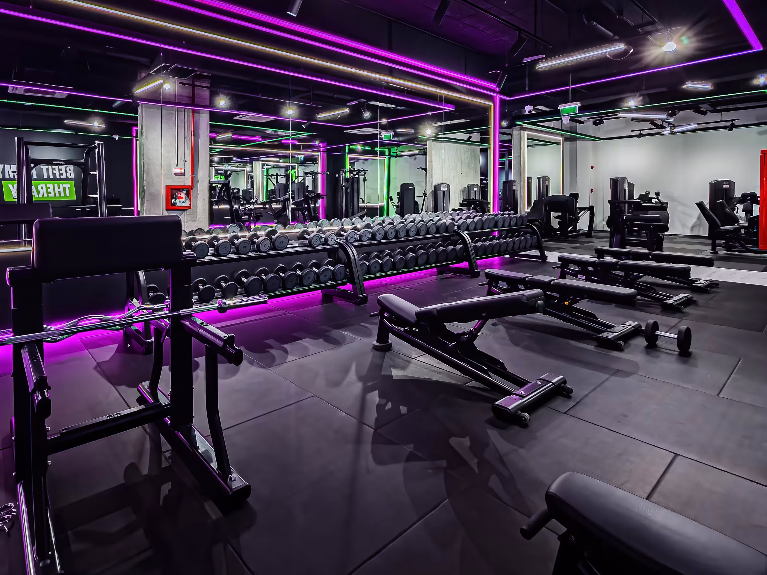 BeFit Timișoara - Paltim